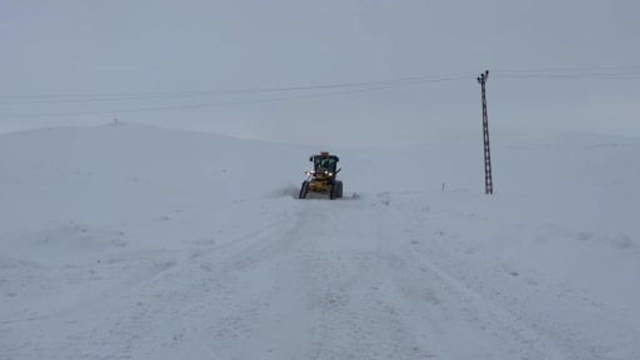Kars’ta Kar Kaplanlarının Zorlu Mücadelesi
