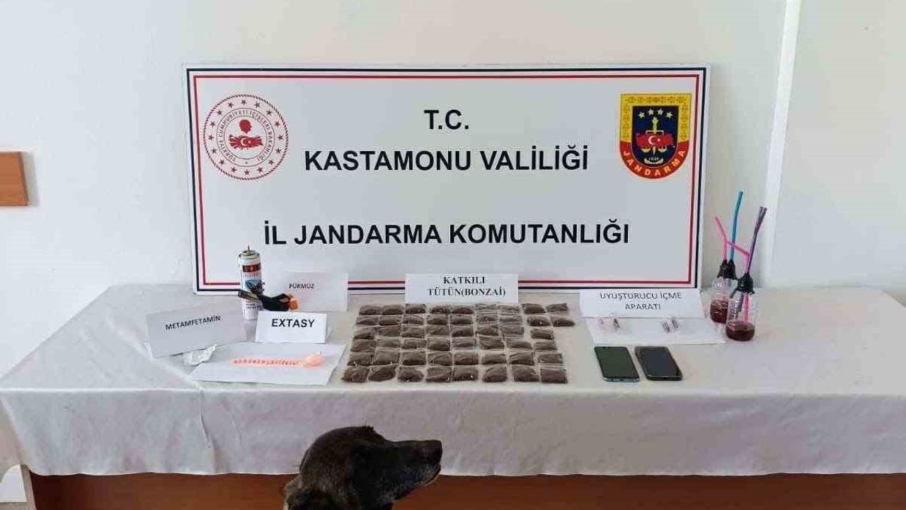 Kastamonu'da Uyuşturucu Operasyonu: 1 Kişi Tutuklandı