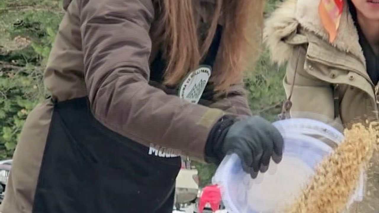 Kastamonu'da Yaban Hayvanları İçin Yemleme Çalışması