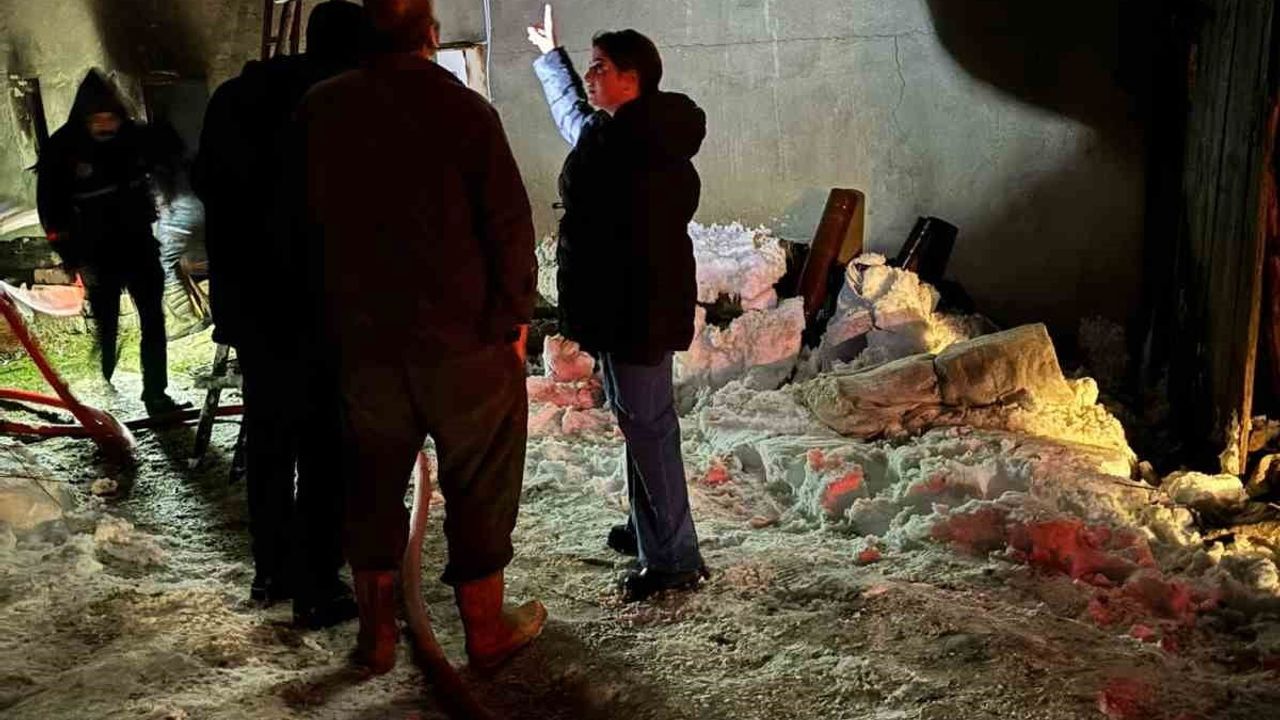 Kastamonu'da Yangın Felaketi: Bir Ev Küller İçinde