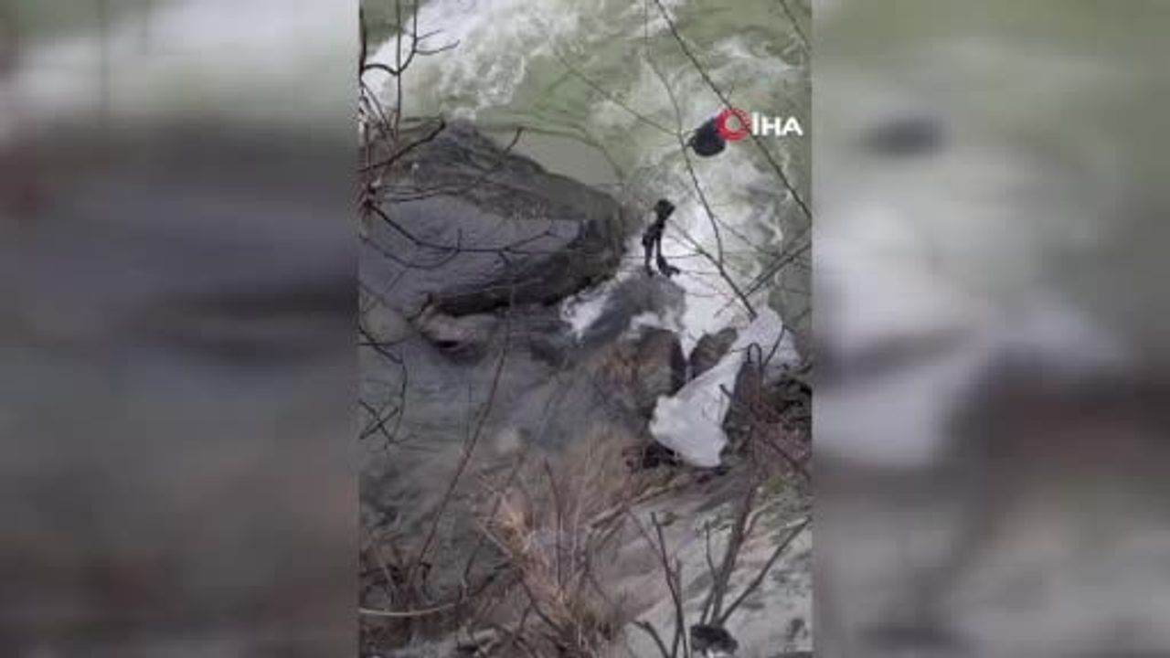 Kayıp Köpek Dere İçerisinde Kurtarıldı