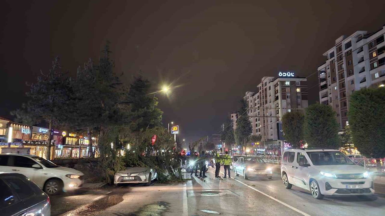 Kayseri'de Şiddetli Rüzgar Ağaç Devrildi