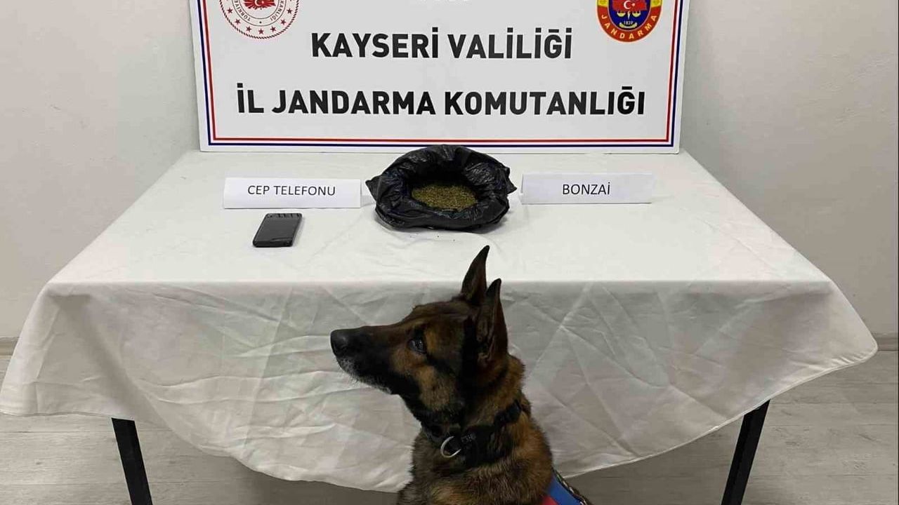 Kayseri'de Uyuşturucu Operasyonu: 1 Kişi Gözaltında