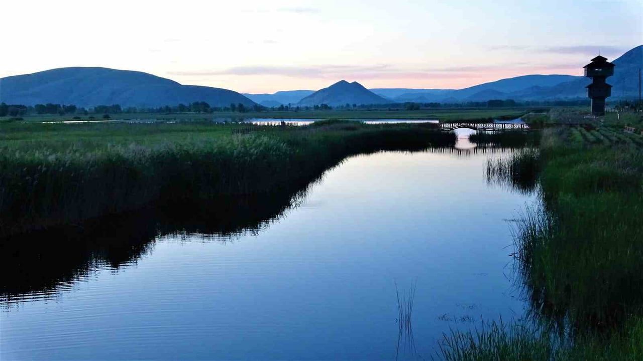 Kaz Gölü'nde Büyüleyici Kış Manzarası