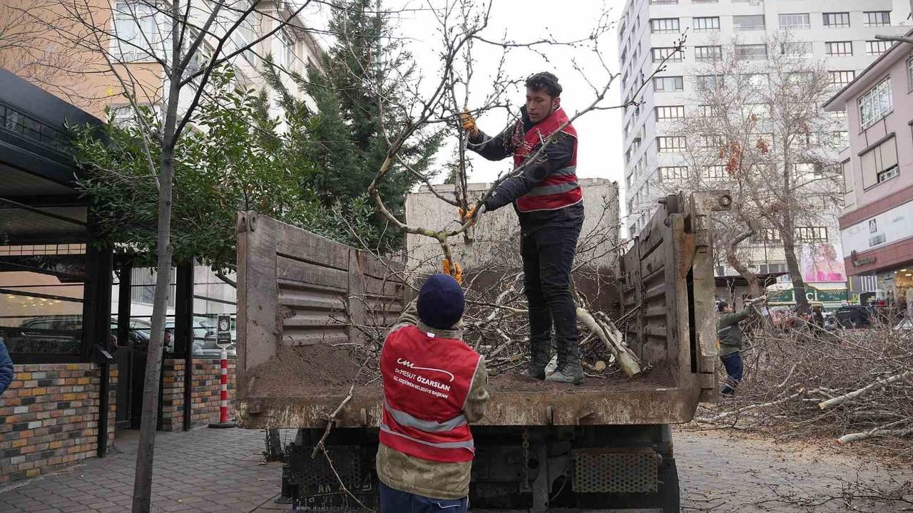Keçiören Belediyesi Kış Aylarında Park Bakım Çalışmalarına Devam Ediyor