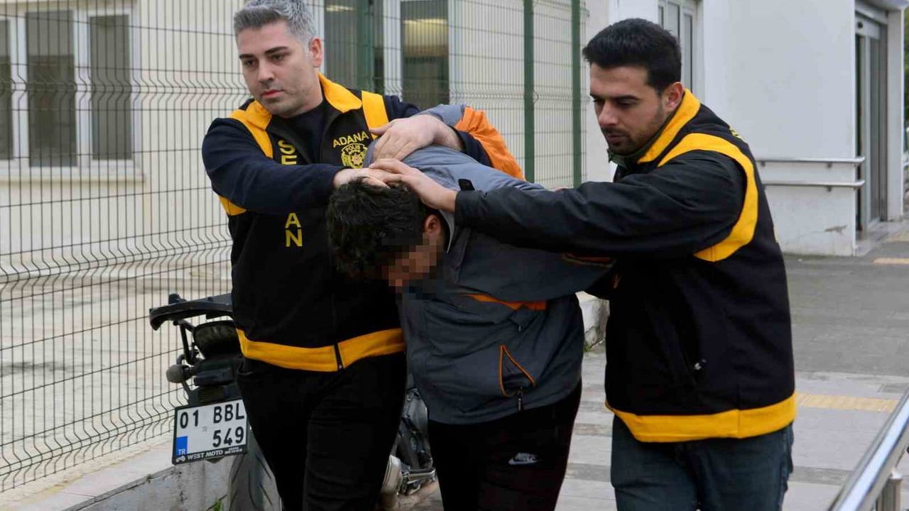 Kedi Ezme Olayında Sürücüye Hayvan Barınağında Çalışma Cezası Verildi