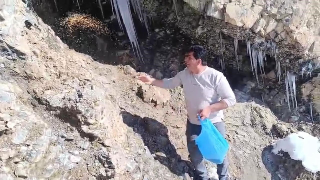 Keklikler İçin Doğaya Yem Bıraktılar