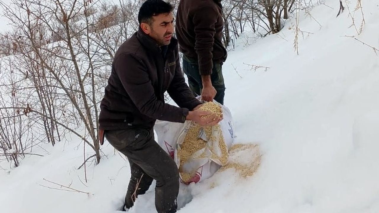 Kemah'ta Yaban Hayatı Koruma Çabaları