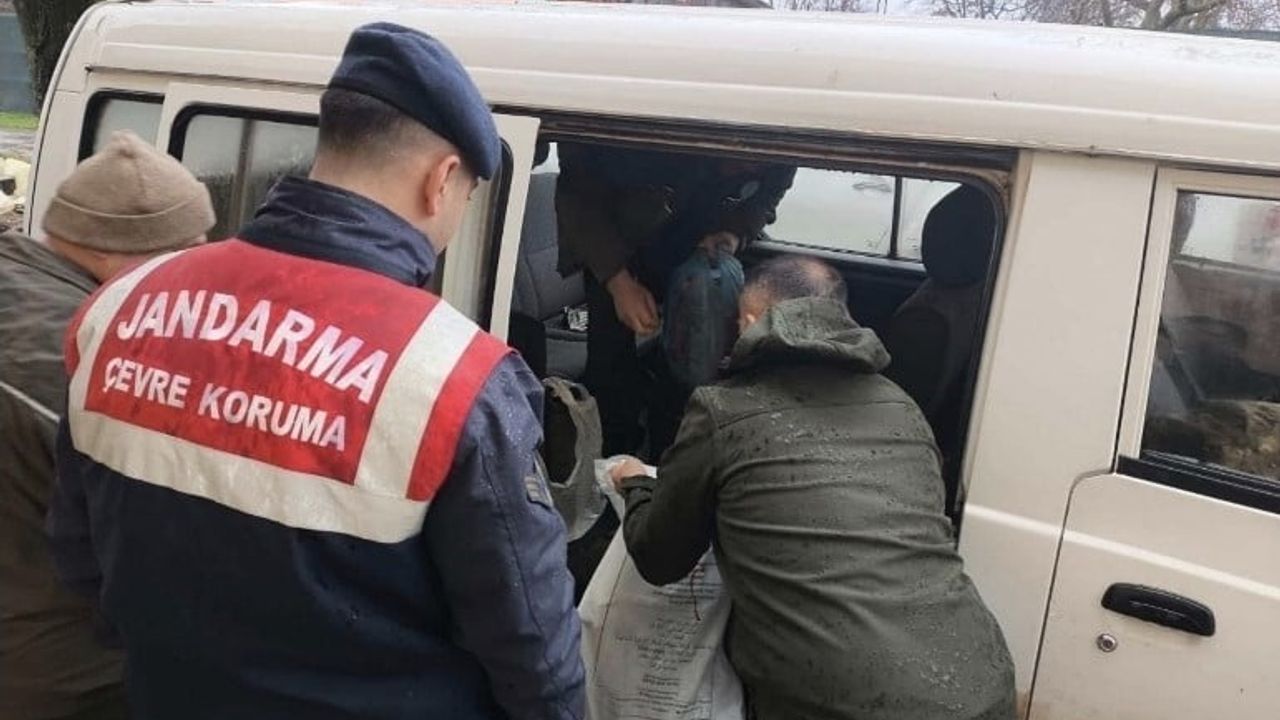 Kırklareli'de Yasa Dışı Karaca Avına Ağır Ceza Uygulandı