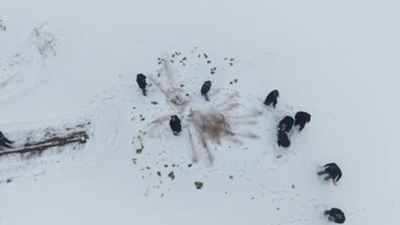 Kırköy Belediyesi Yaban Hayvanları İçin Yem Bıraktı