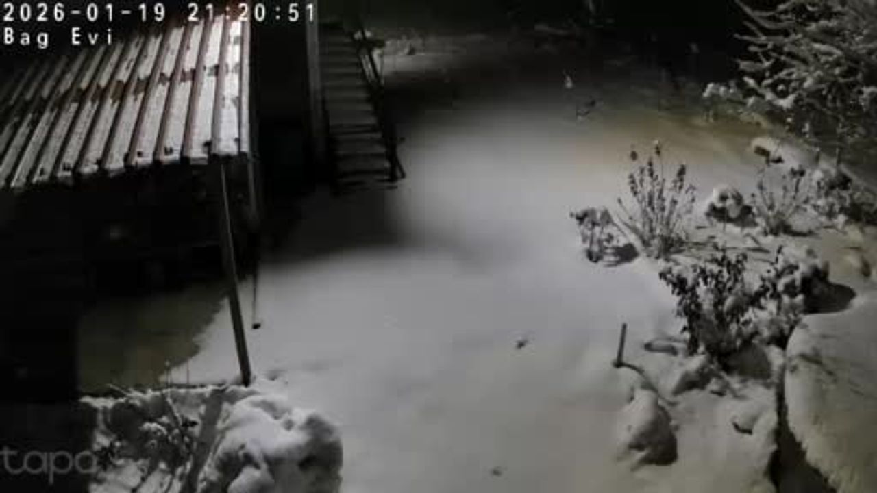 Kırsalda Kar Yağışı ve Aç Kalan Kaya Sansarı