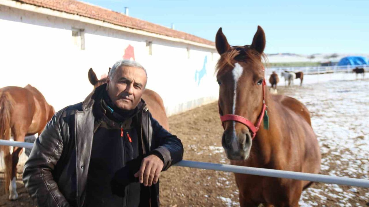 Kış Aylarında At Yetiştiriciliği: Zorluklar ve Bakım İpuçları