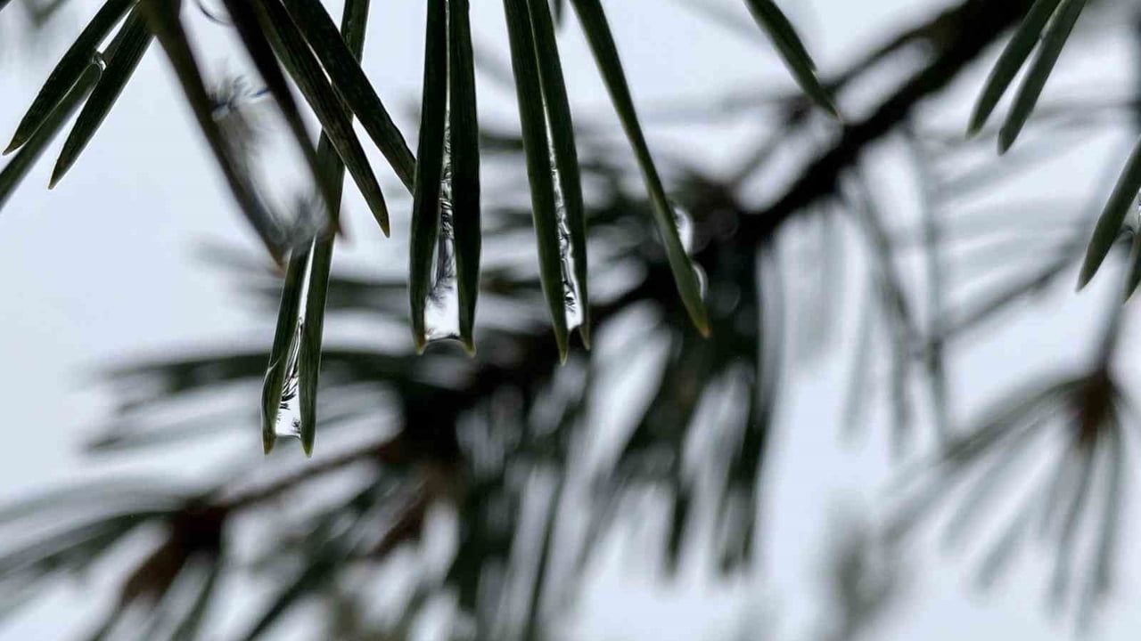 Kış Tatili için Yeni Bir Rota: Işık Dağı