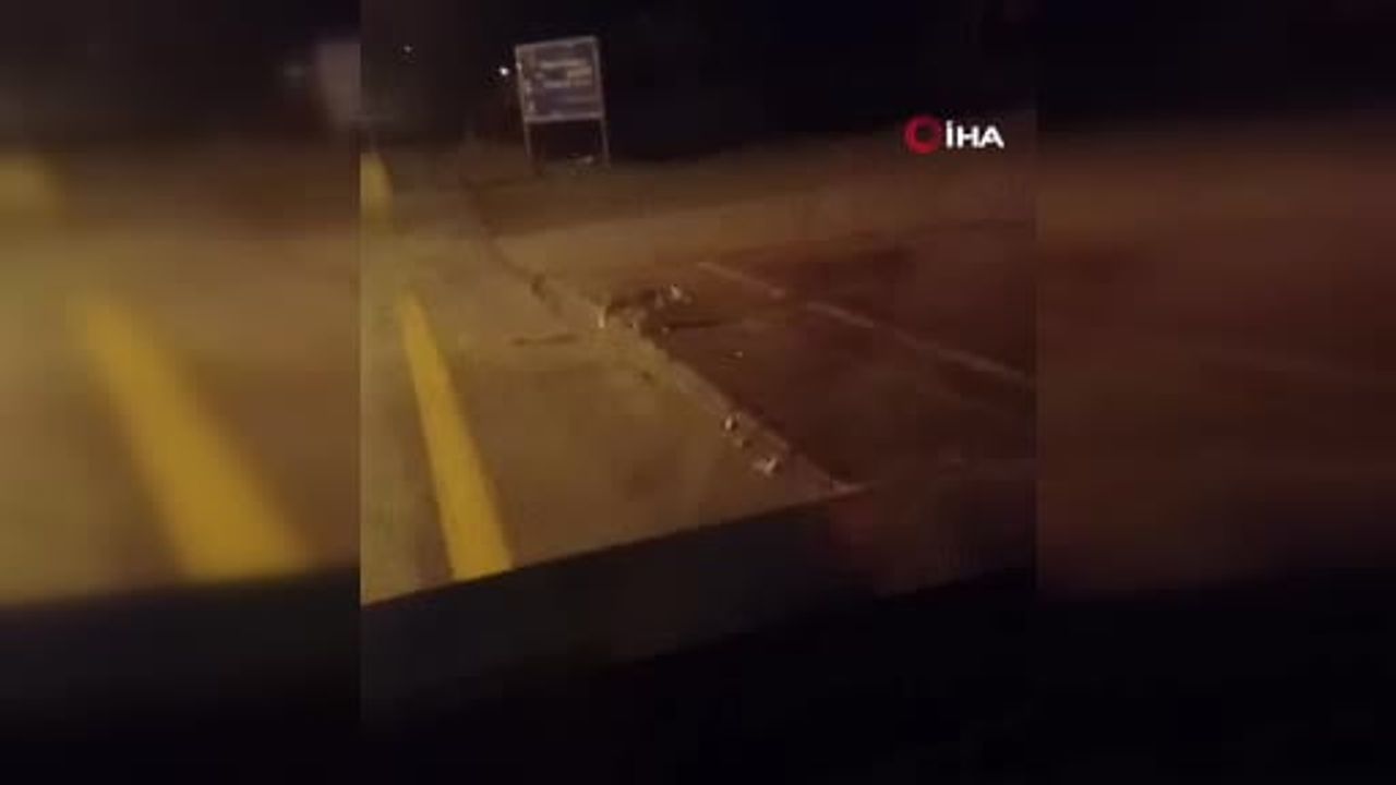 Kışın Aç Kalan Tilkiler Şehir Merkezinde Görüldü