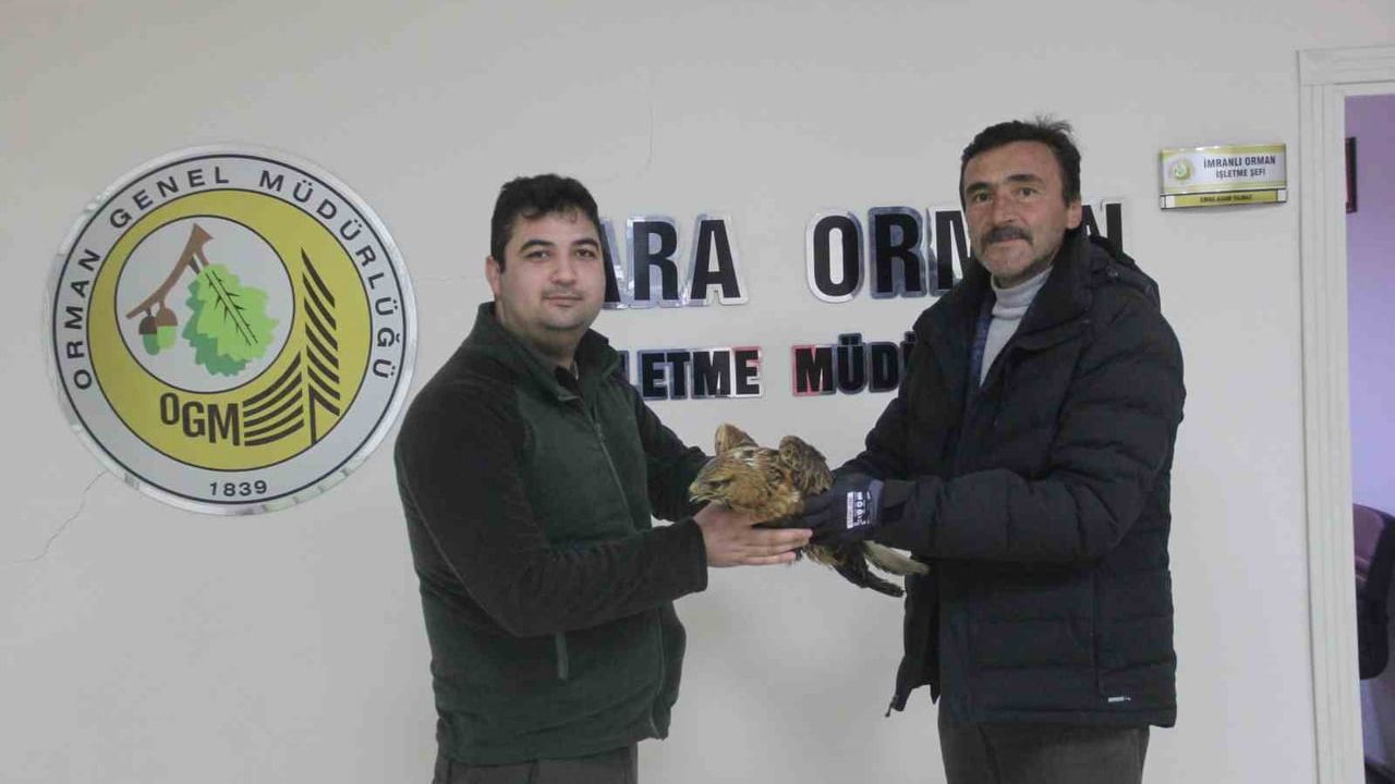 Kızıl Şahin Koruma Altına Alındı