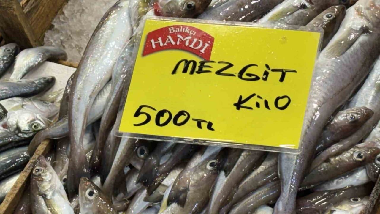 Kocaeli'de Balık Miktarı Azaldı