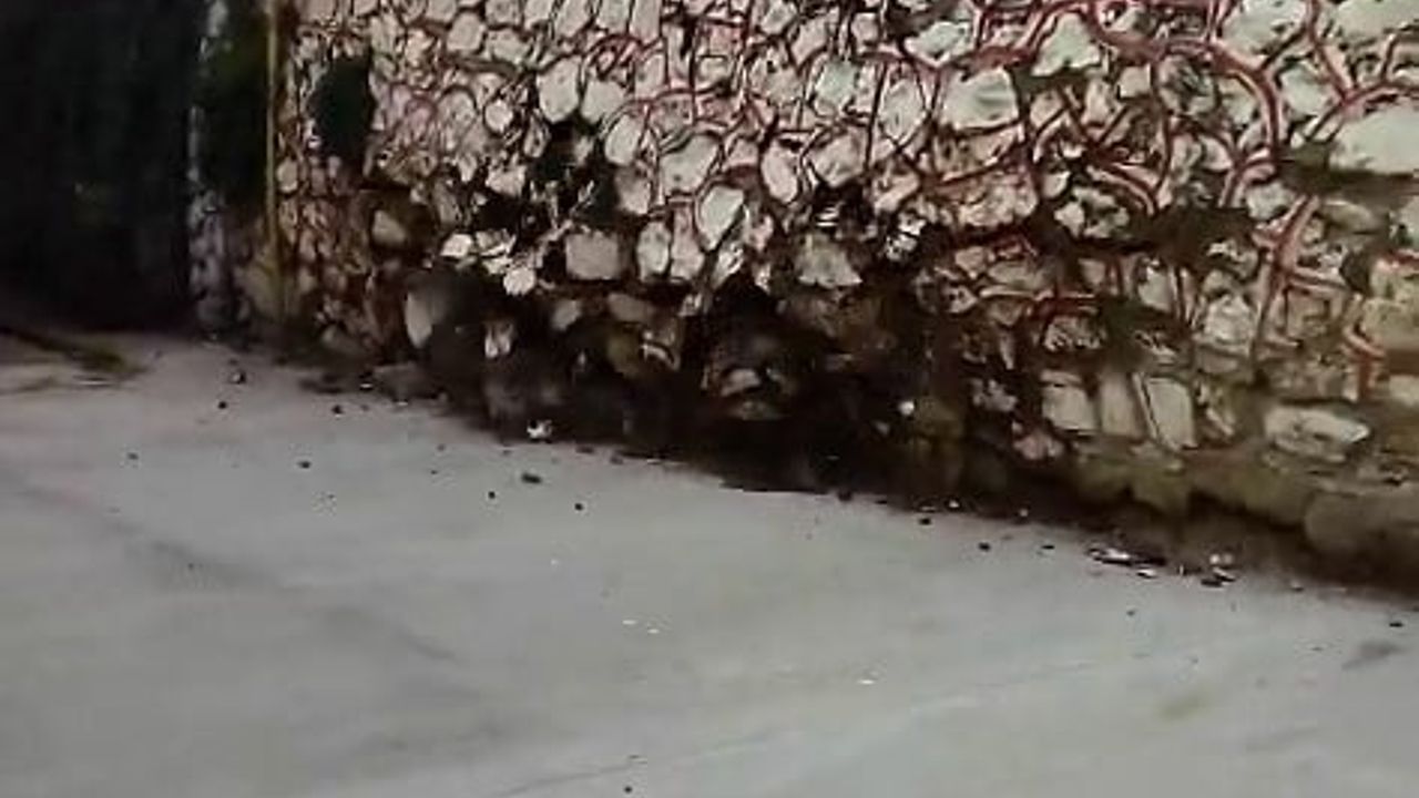 Kocaeli'de İstinat Duvarı Okul Bahçesine Devrildi