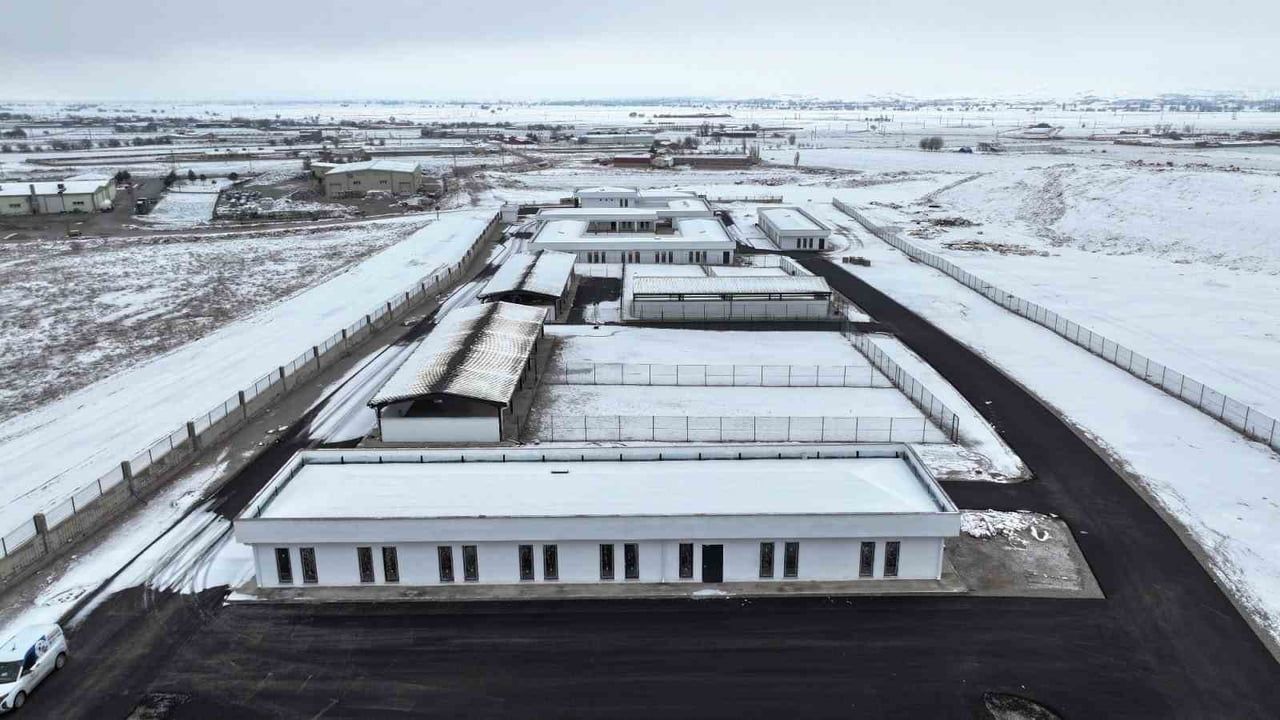 Kocasinan Belediyesi'nden Sokak Hayvanlarına Özel Rehabilitasyon Merkezi