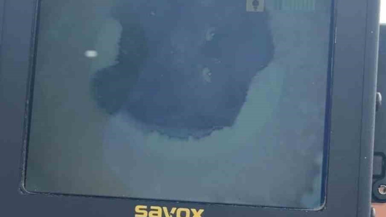 Konya'da Bacaya Sıkışan Kedi 6 Saatlik Kurtarma Operasyonuyla Kurtarıldı