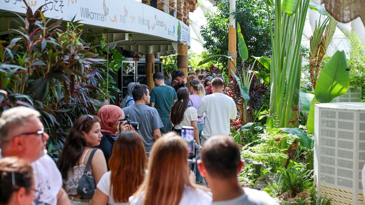 Konya Tropikal Kelebek Bahçesi 2025’te 603 Bin Ziyaretçiyi Ağırladı