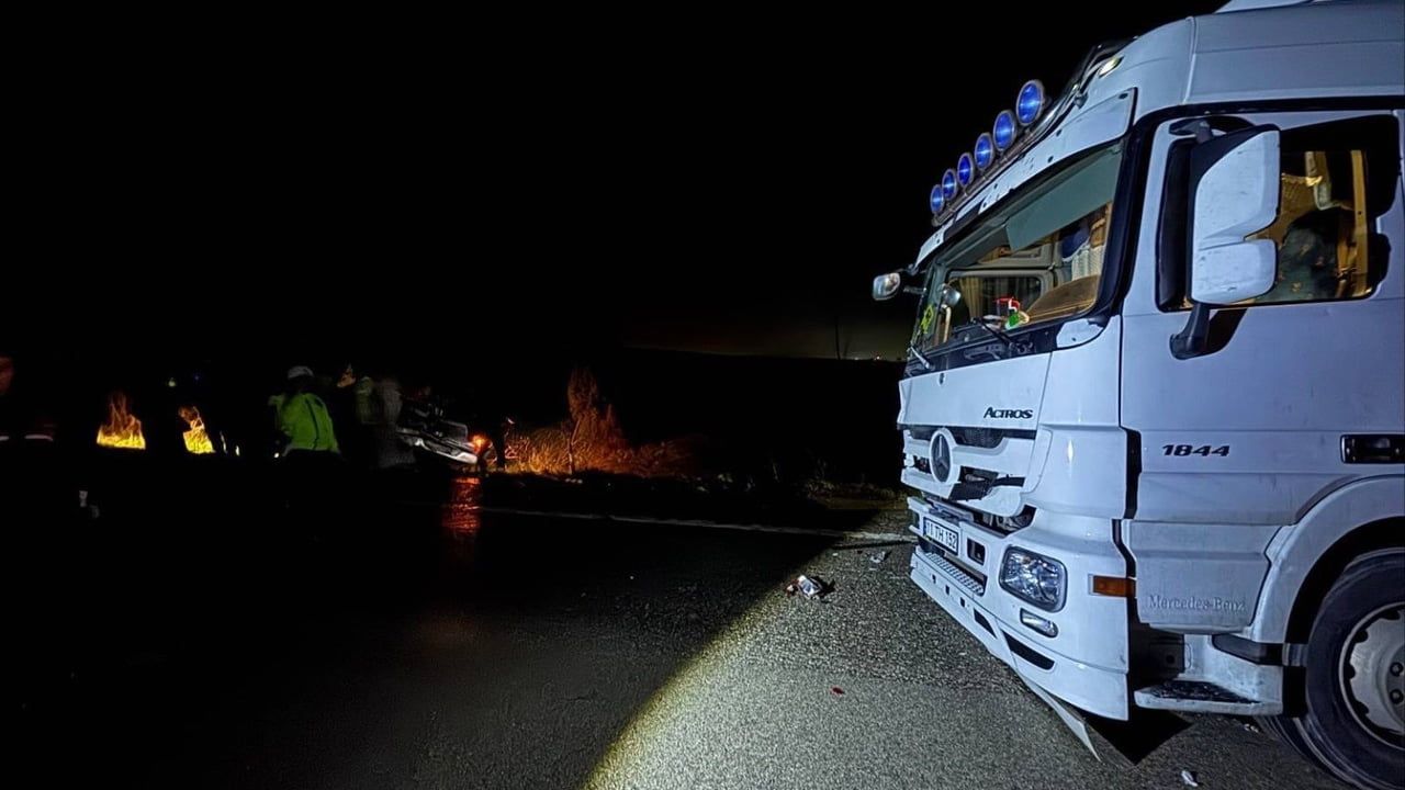 Köpekler Otoyolda Feci Kazaya Neden Oldu