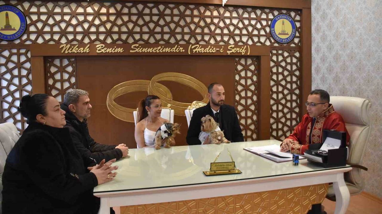 KöpeklerleNikah: Evlilikte Eğlenceli Bir Dokunuş