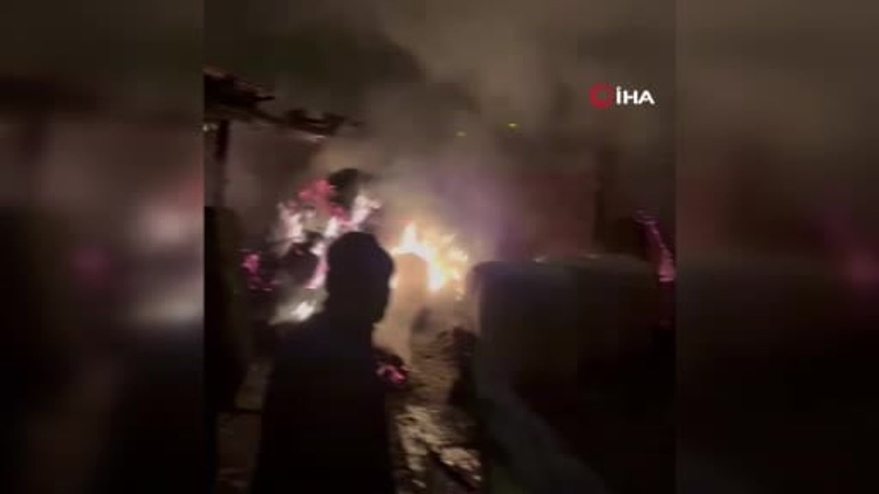 Kozluca Köyü'nde Yangın Felaketi: İki Ev ve Bir Ahır Kül Oldu