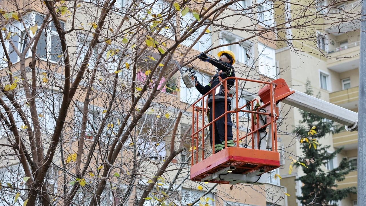 Küçükçekmece Belediyesi'nden İhtiyaç Sahiplerine Yakacak Desteği