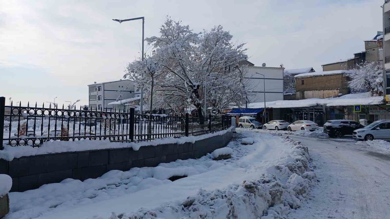 Kulp’ta Kar Yağışı ile Yoğun Soğuk Hava