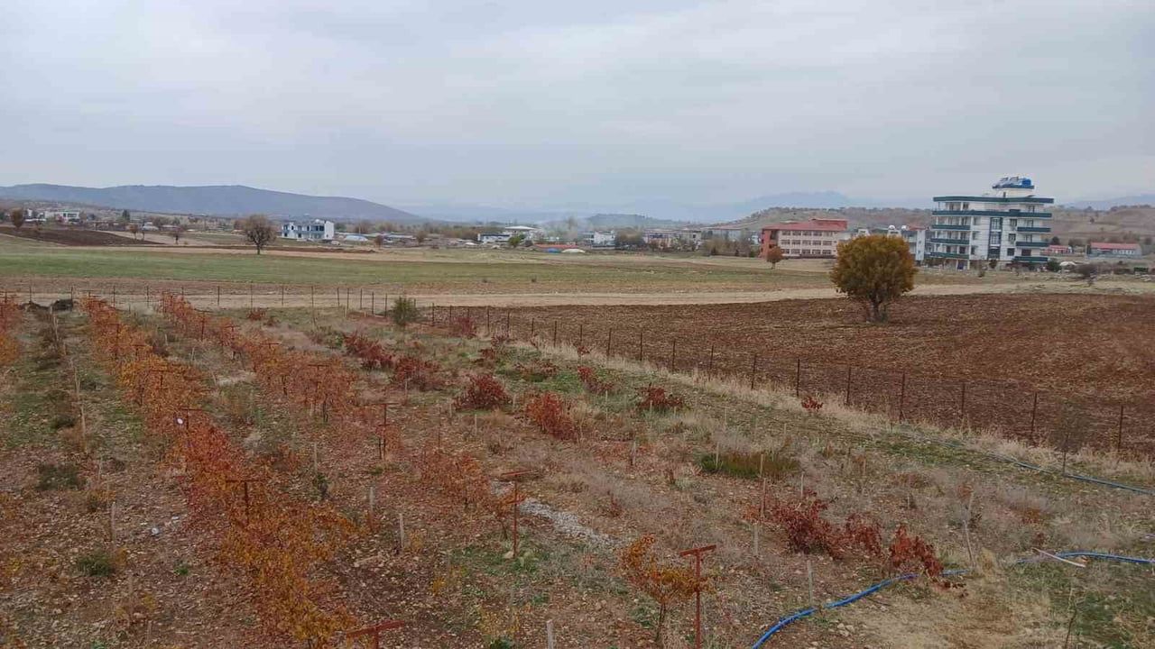 Kulp'ta Kar Yağışı Tarıma Umut Getirdi