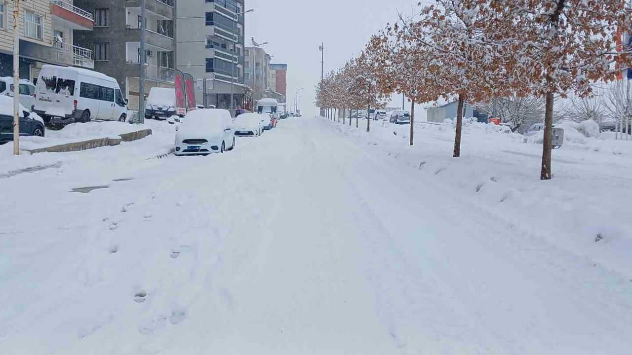 Kulp'ta Yoğun Kar Yağışı Hayatı Durma Noktasına Getirdi