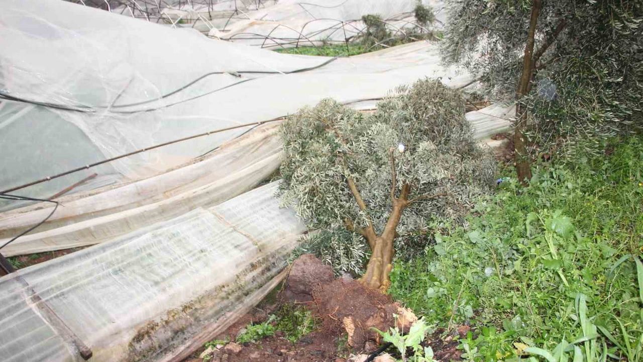 Kumluca'da Hortum Felaketi: 150 Dönüm Sera Zarar Gördü