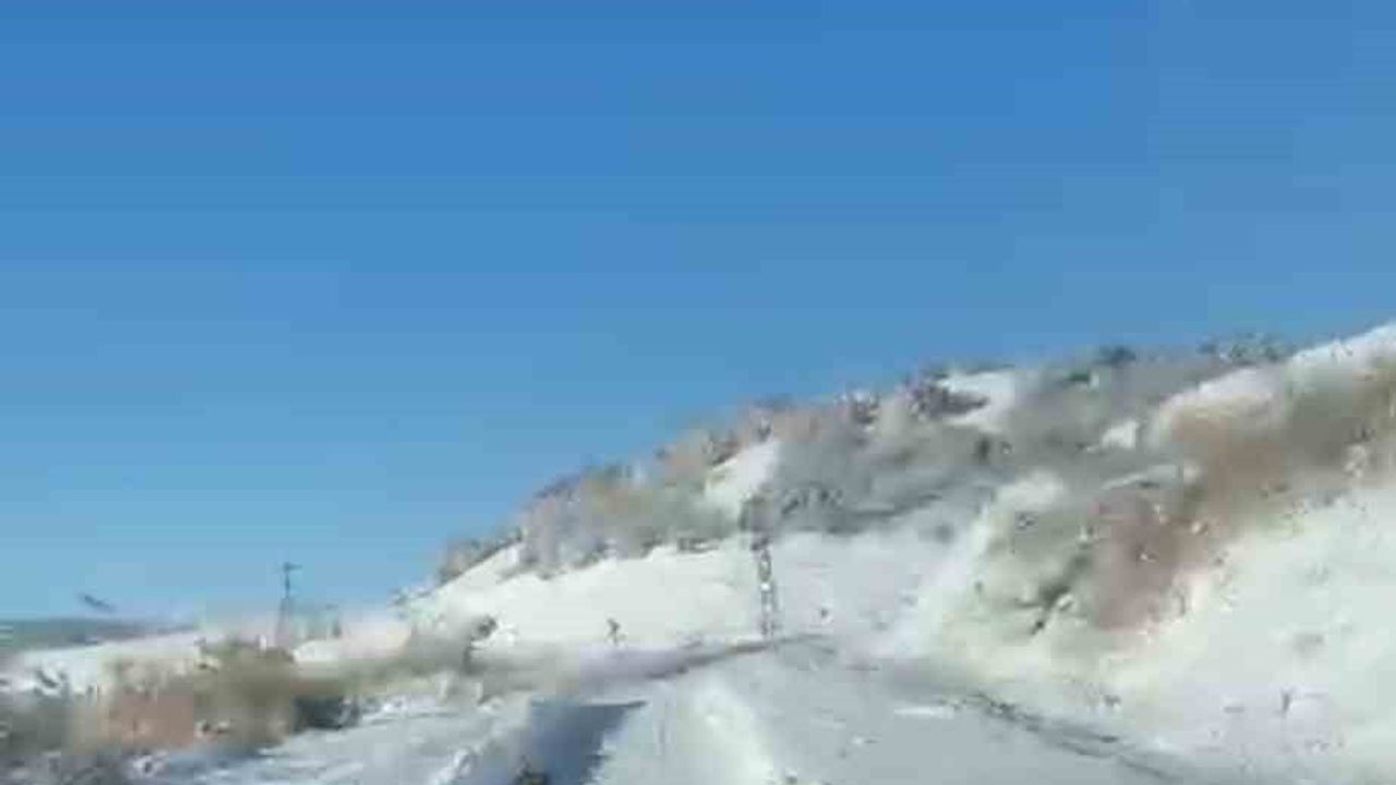 Kurt, UMKE Ekiplerine Yol Arkadaşlığı Yaptı