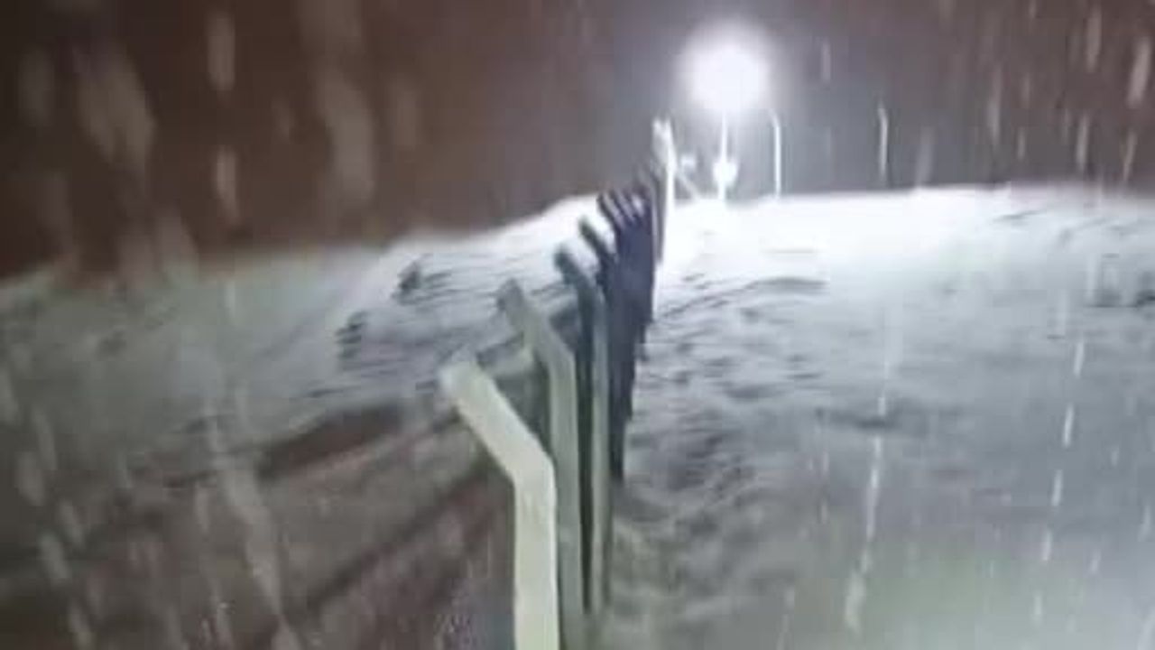 Kurtalan'da Kurt Görüntülendi