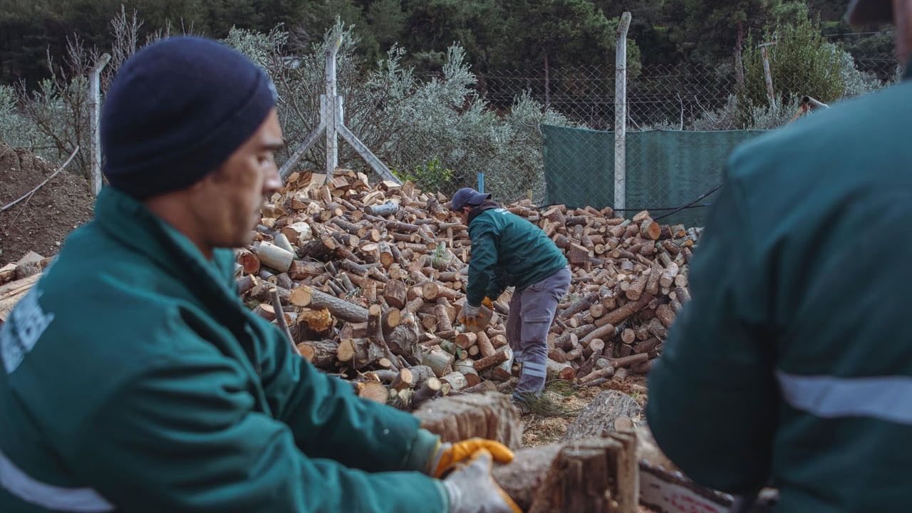 Kuşadası Belediyesi İhtiyaç Sahiplerine Ağaç Atıklarıyla Yakacak Yardımı Yapıyor