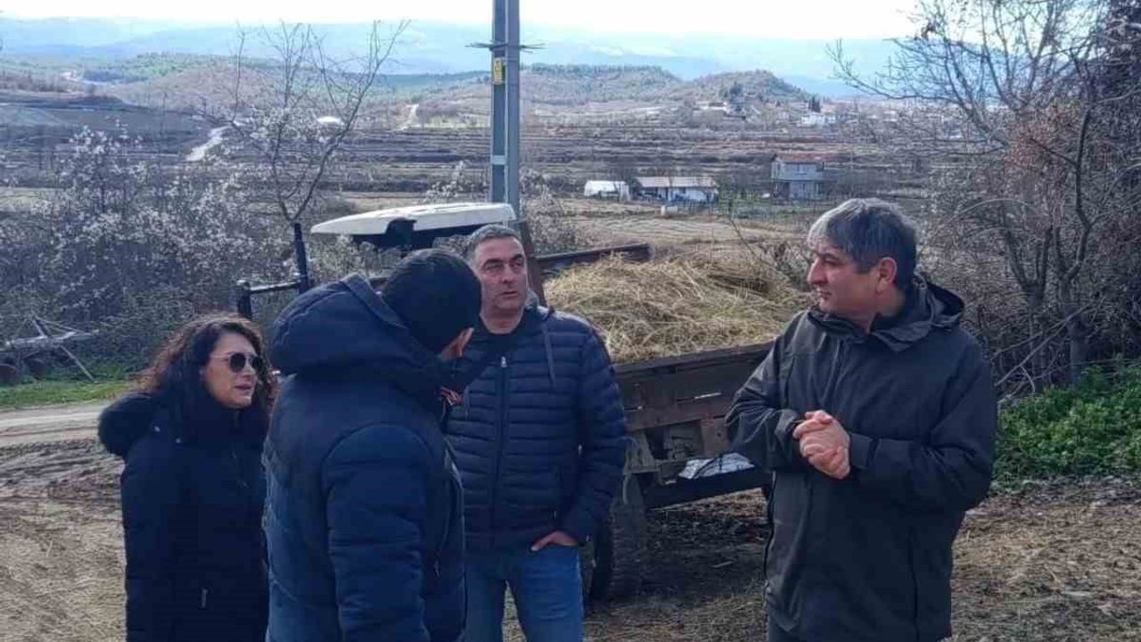 Leylek Popülasyonu Projesi Sinop'ta İncelendi