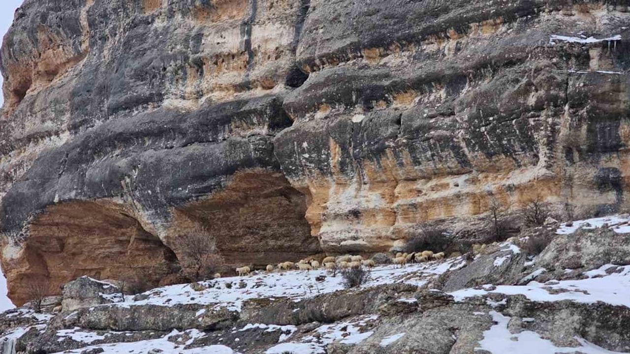 Malatya'da Kar Yağışı Hayvan Yetiştiricilerini Zorladı