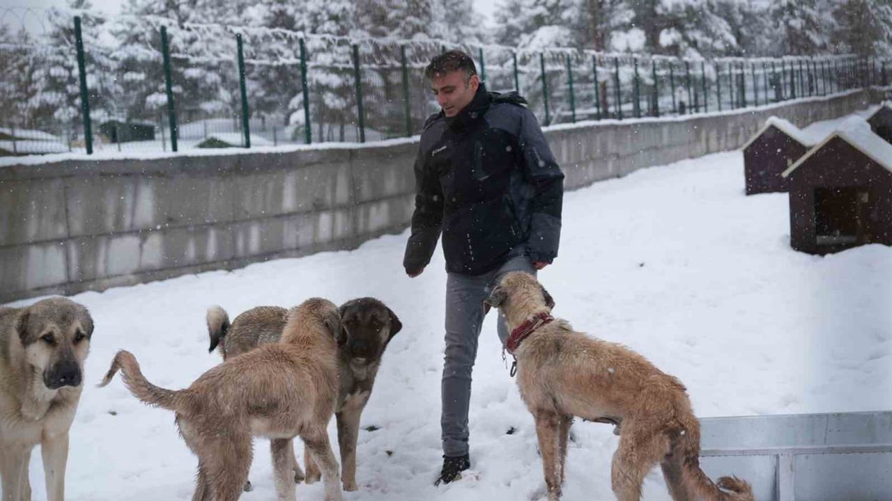 Malatya'nın İkinci Hayvan Barınağı Hizmete Girdi