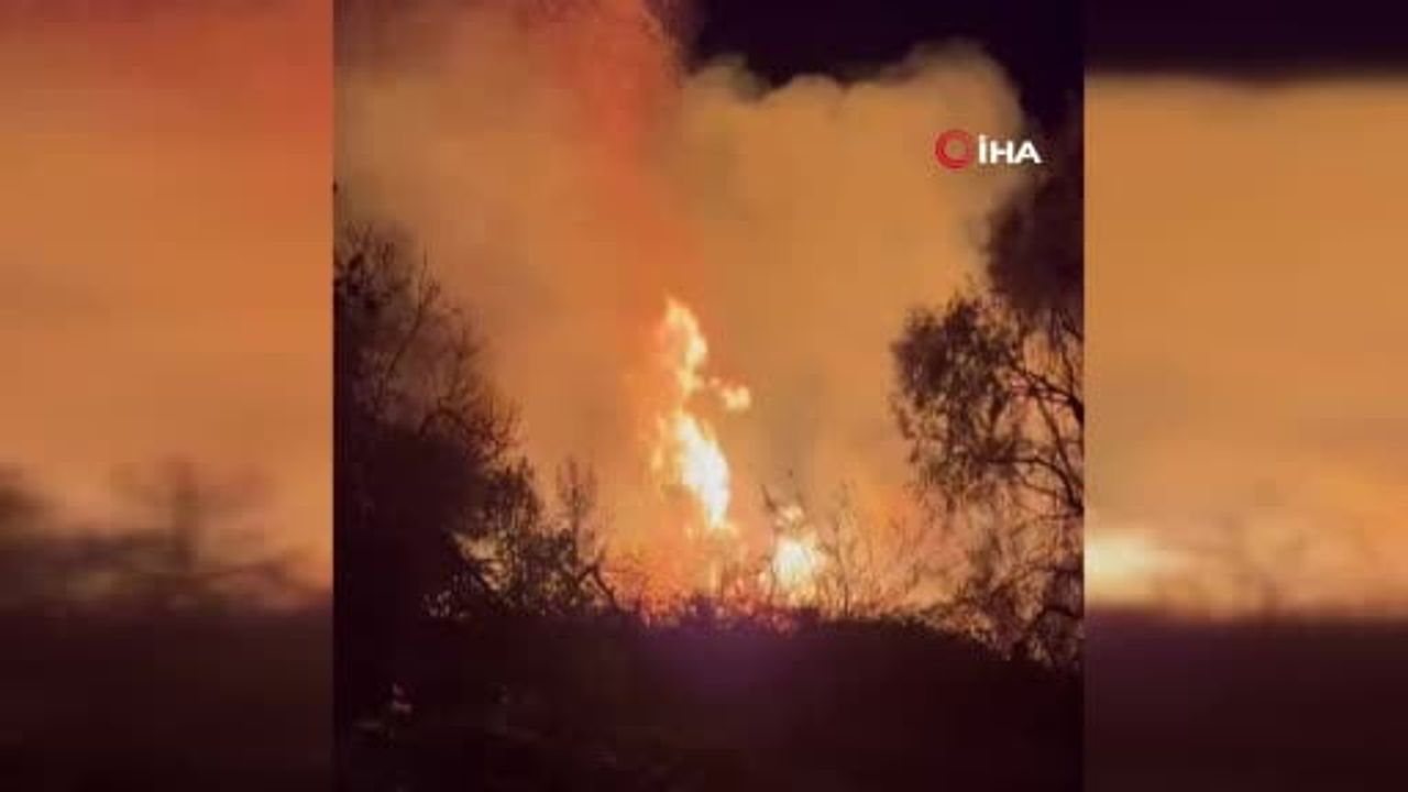 Manavgat'ta D-400 Üzerinde Yangın Korku Yarattı