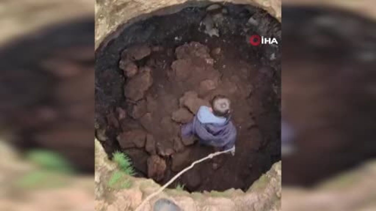 Mardin'de Gençler Tilkiyi Kurtardı