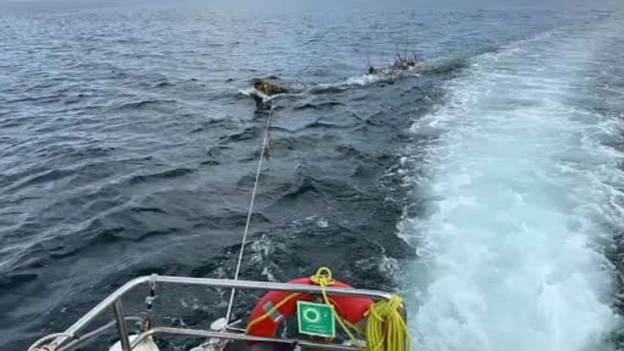 Marmara Denizi'nde Tehlikeli Yüzen Ağaç Kıyıya Alındı