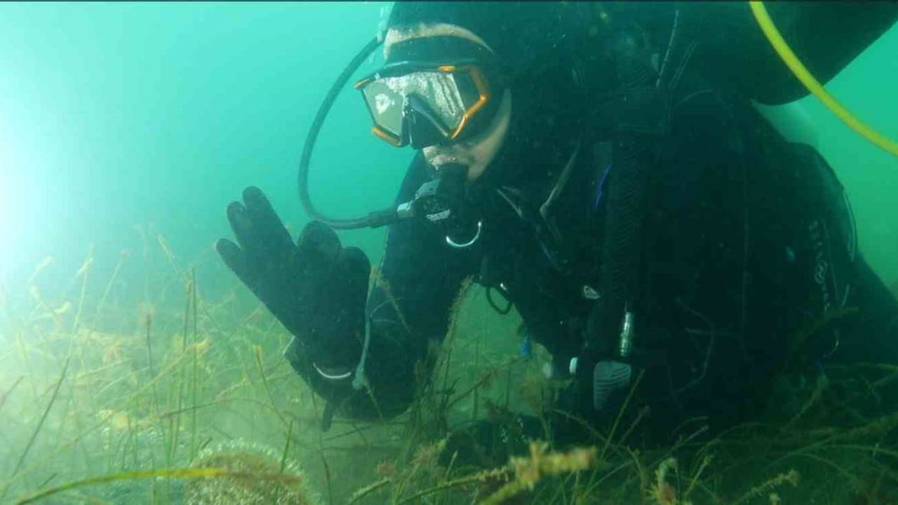 Marmara Denizi'ndeki Eko-Sistemi Koruma Çağrısı
