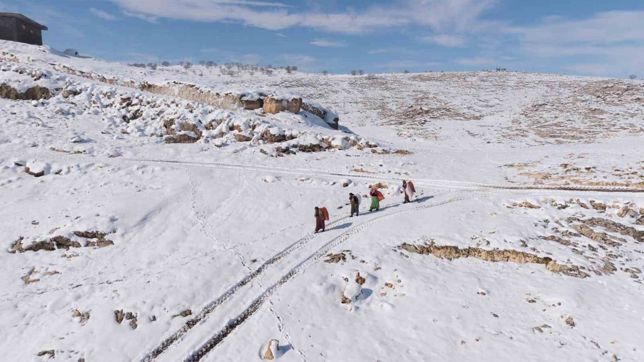 Mazıdağı’nda Kadınlar Kış Şartlarında Hayatta Kalma Mücadelesi Veriyor