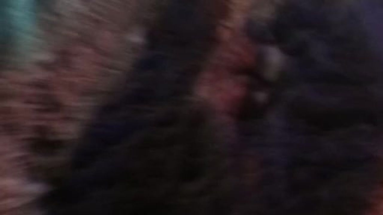 Mehmetçik, Paletli Araçla Yaşlı Hastaya Kurtarma Operasyonu Düzenledi