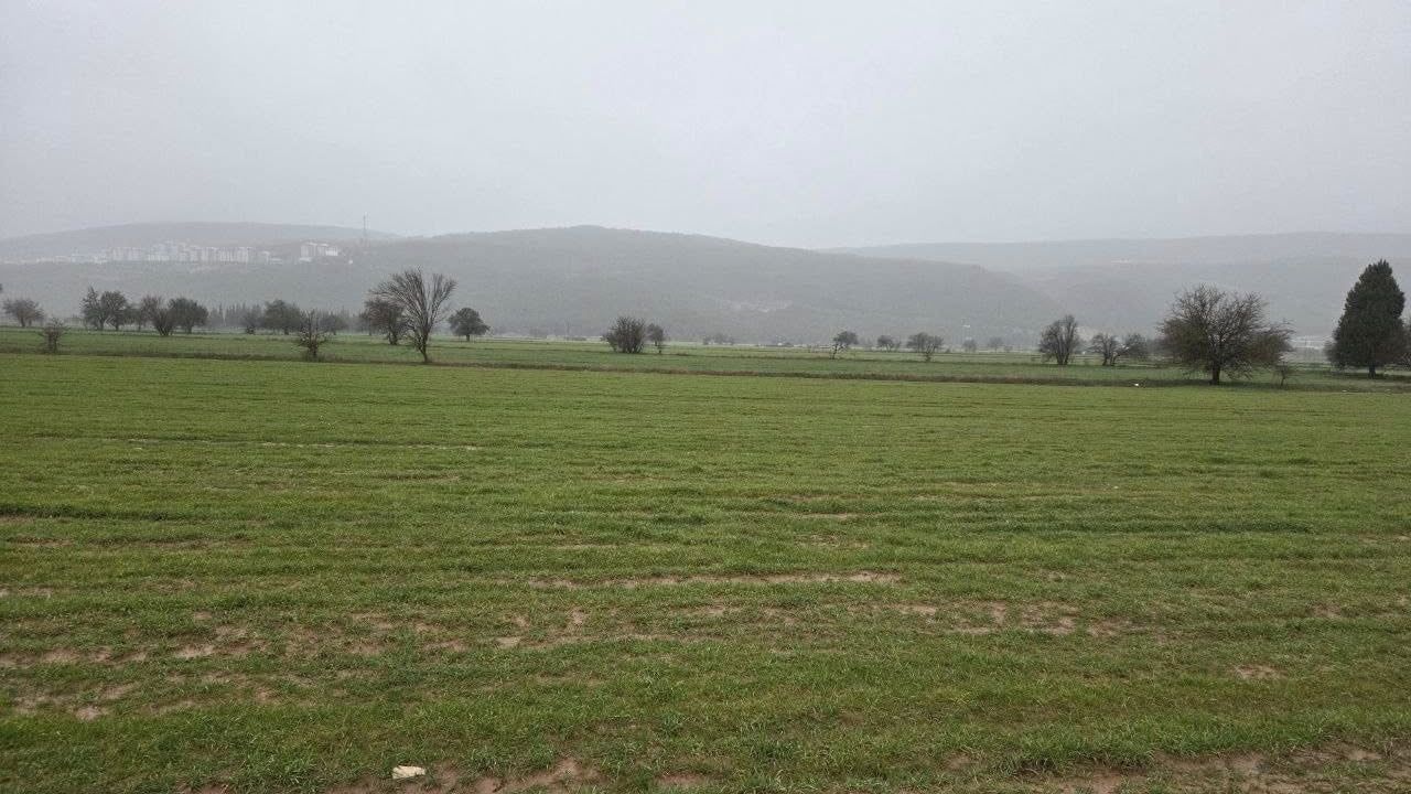 Menteşe'de Tarımsal Saha İncelemesi Başlatıldı