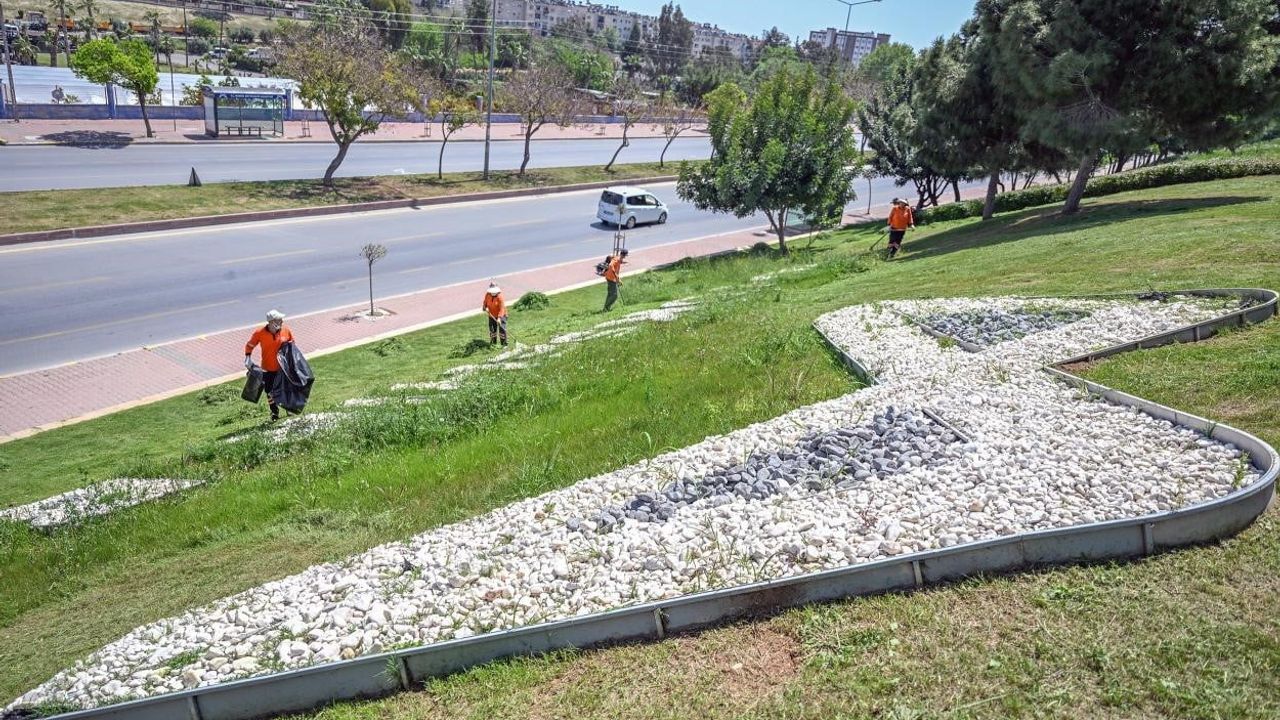 Mersin'de İklim Dostu Yeşil Alan Gelişimi