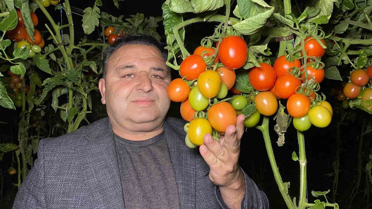 Mersin'de Zirai Don Alarmı: Üreticiler Nöbette