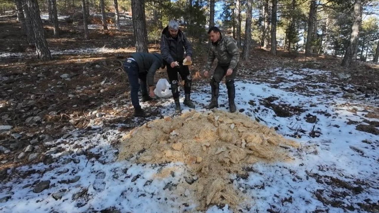 Motosiklet Tutkunları Hayvanlar İçin Bir Araya Geldi