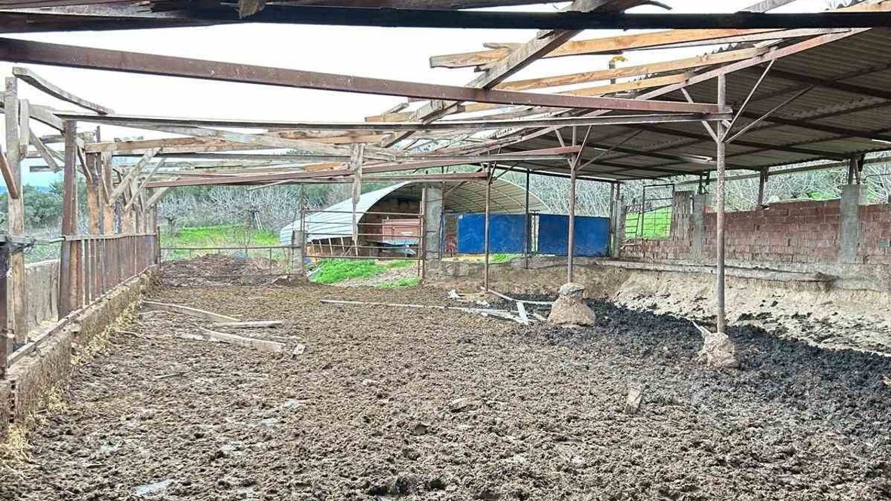 Mudanya'da Lodos ve Yangın Tehlikesi: İki Köyde Paniğe Yol Açtı