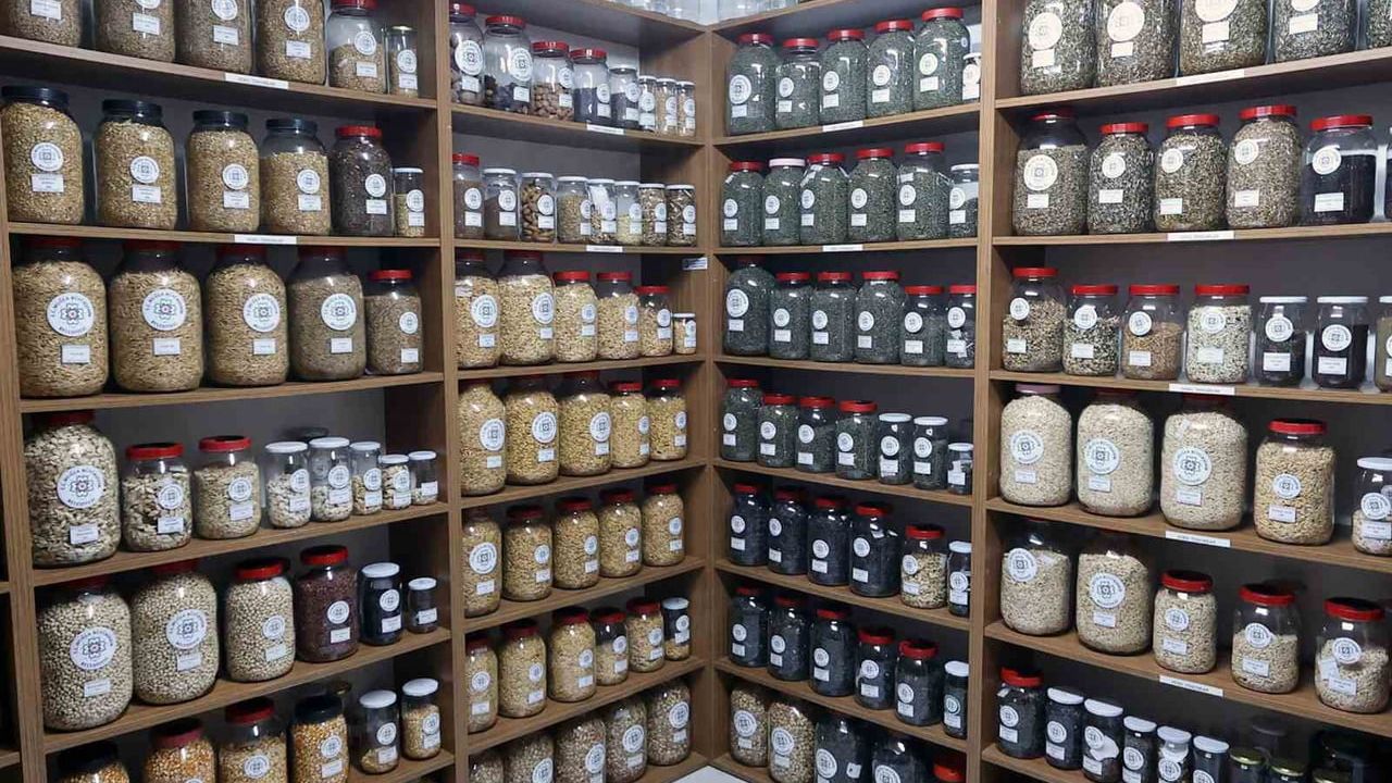 Muğla Büyükşehir 2026'da 3 Milyon Ata Tohumu Dağıtacak